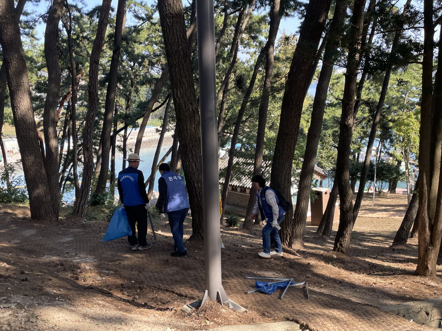 고하도 정화 (2).jpg