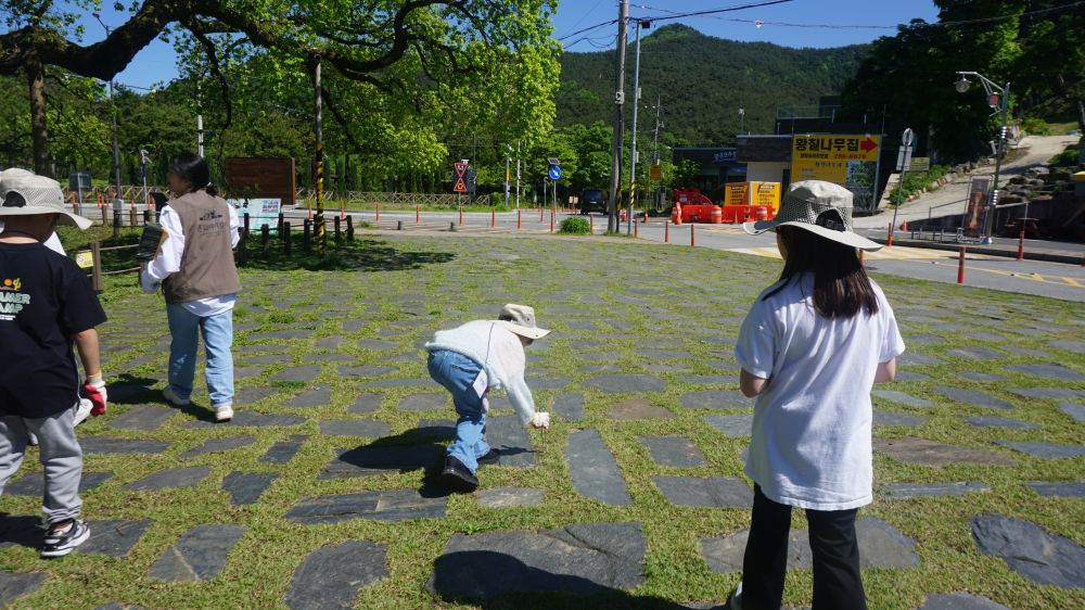 20240425 충효분교_충효동 일대 (24).JPG