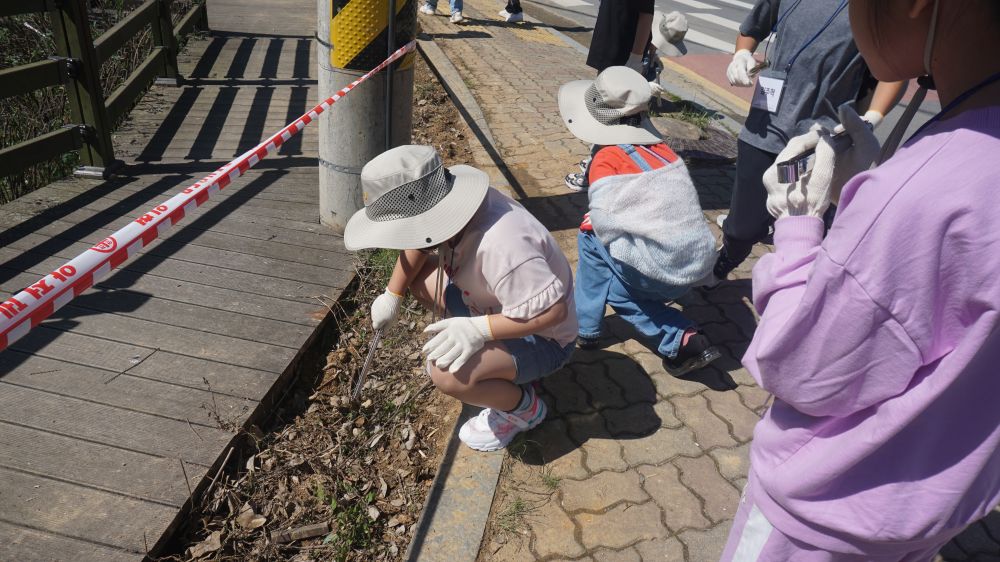 20240425 충효분교_충효동 일대 (27).JPG