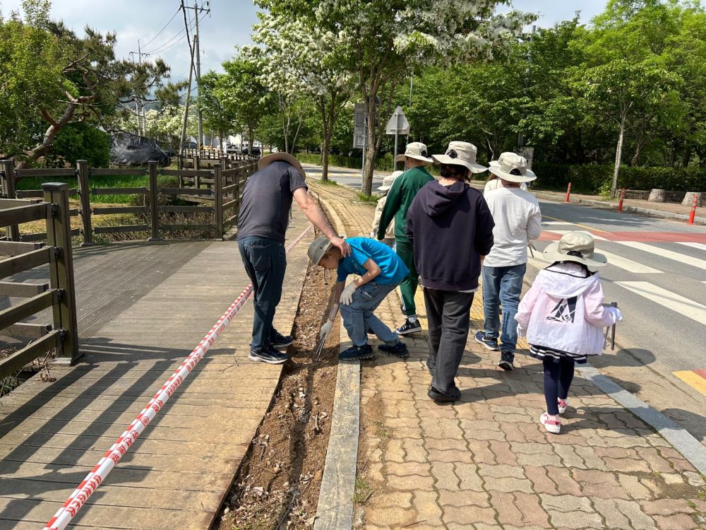 20240502_충효분교_충효동일대 A (3).jpg