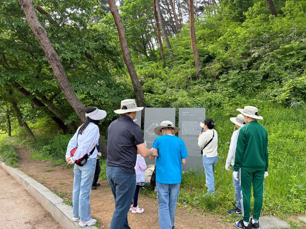 20240502_충효분교_충효동일대 A (5).jpg