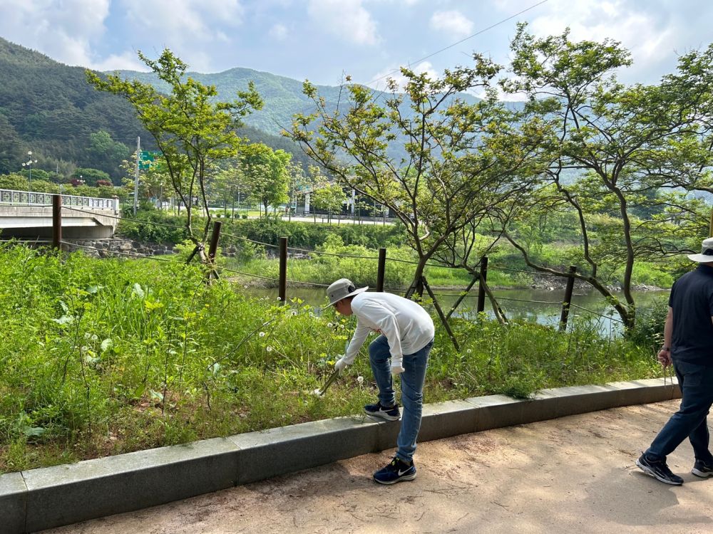 20240502_충효분교_충효동일대 A (6).jpg