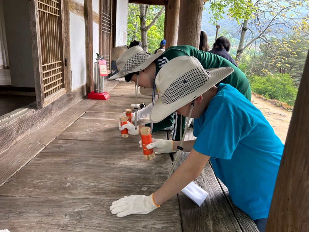 20240502_충효분교_충효동일대 A (8).jpg