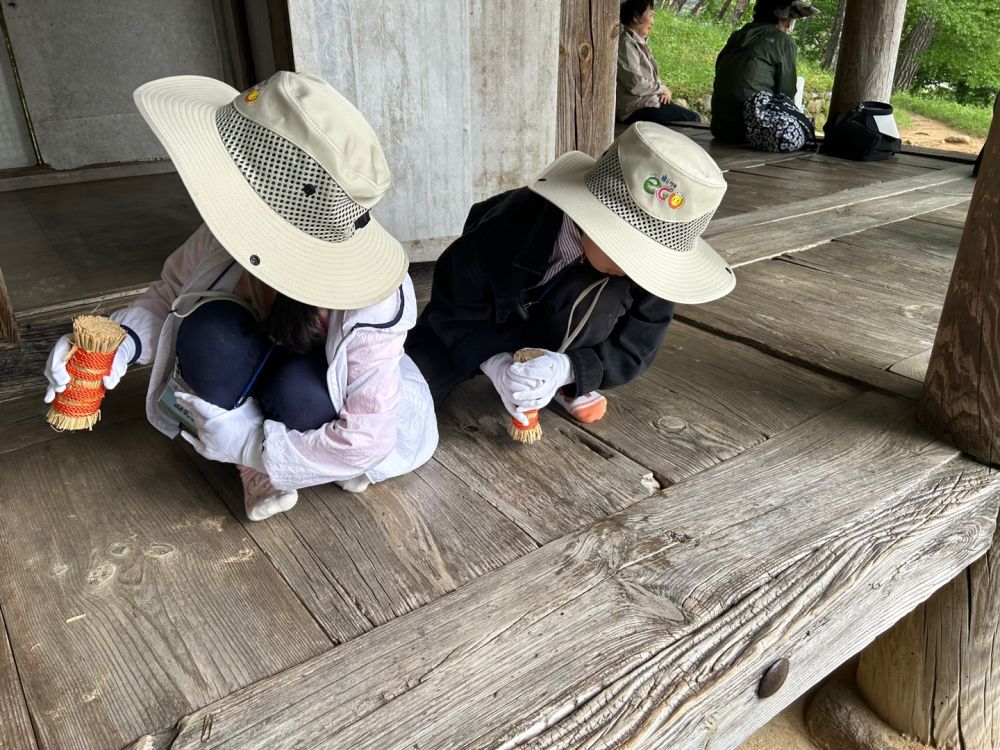 20240502_충효분교_충효동일대 A (10).jpg