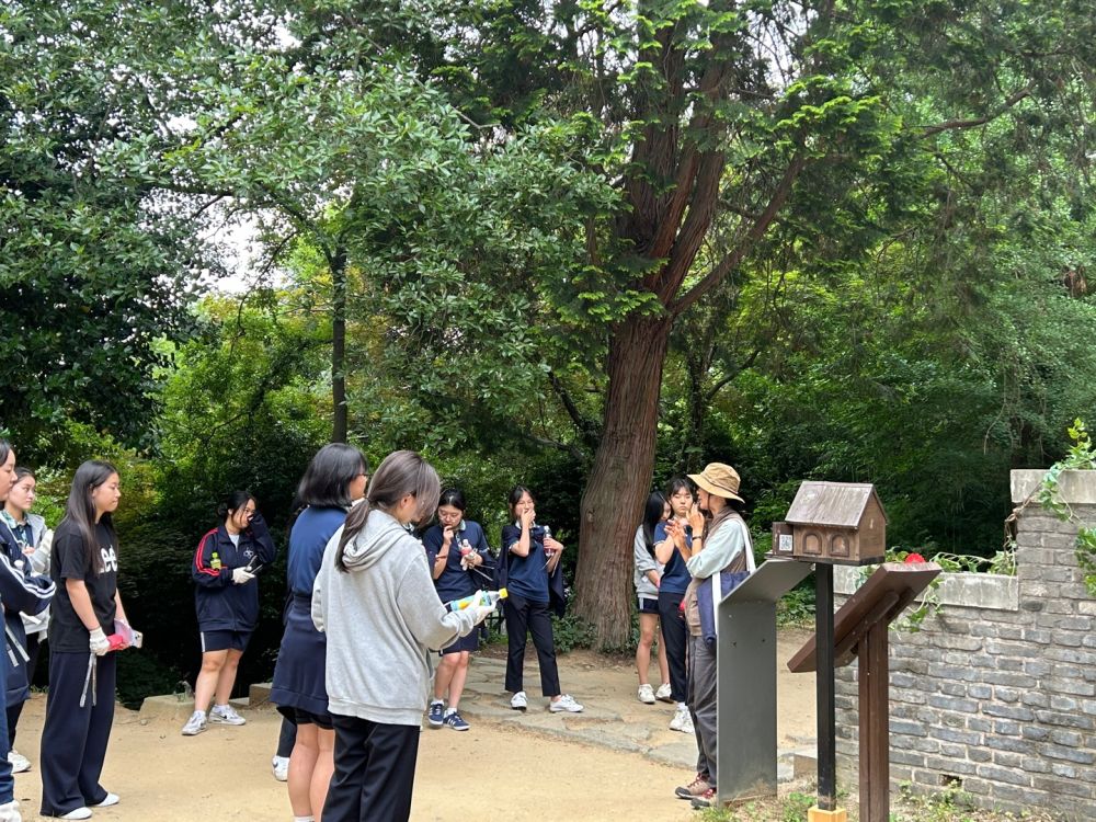 20240605_대성여고_양림동일대 A (3).jpg