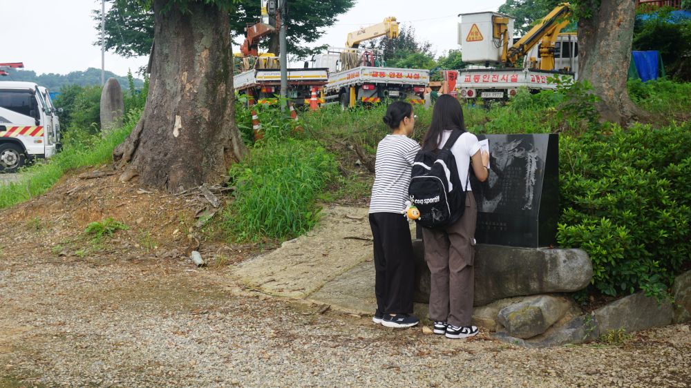 20240713_대성여고_양과동정 A (6).JPG