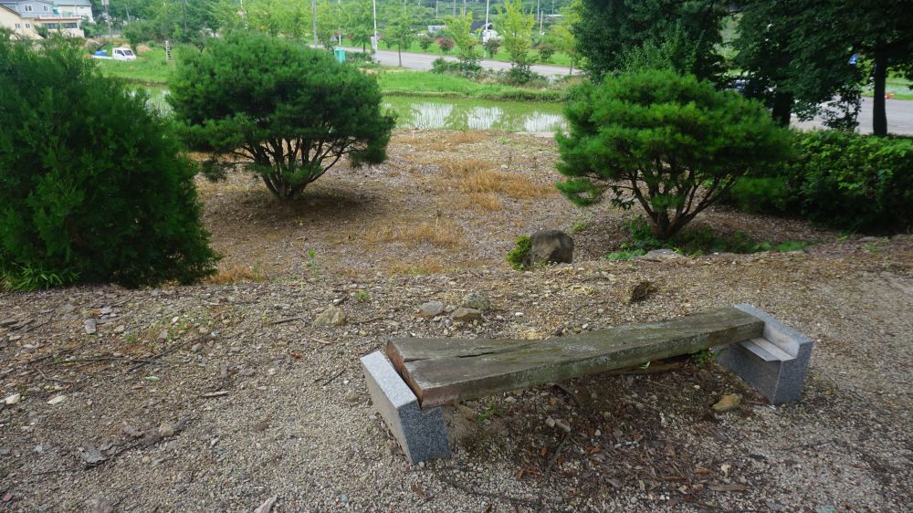 20240713_대성여고_양과동정 A (7).JPG