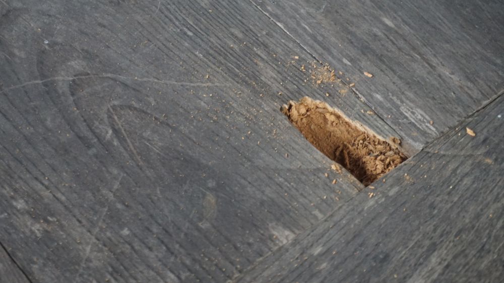 20240713_대성여고_양과동정 A (8).JPG