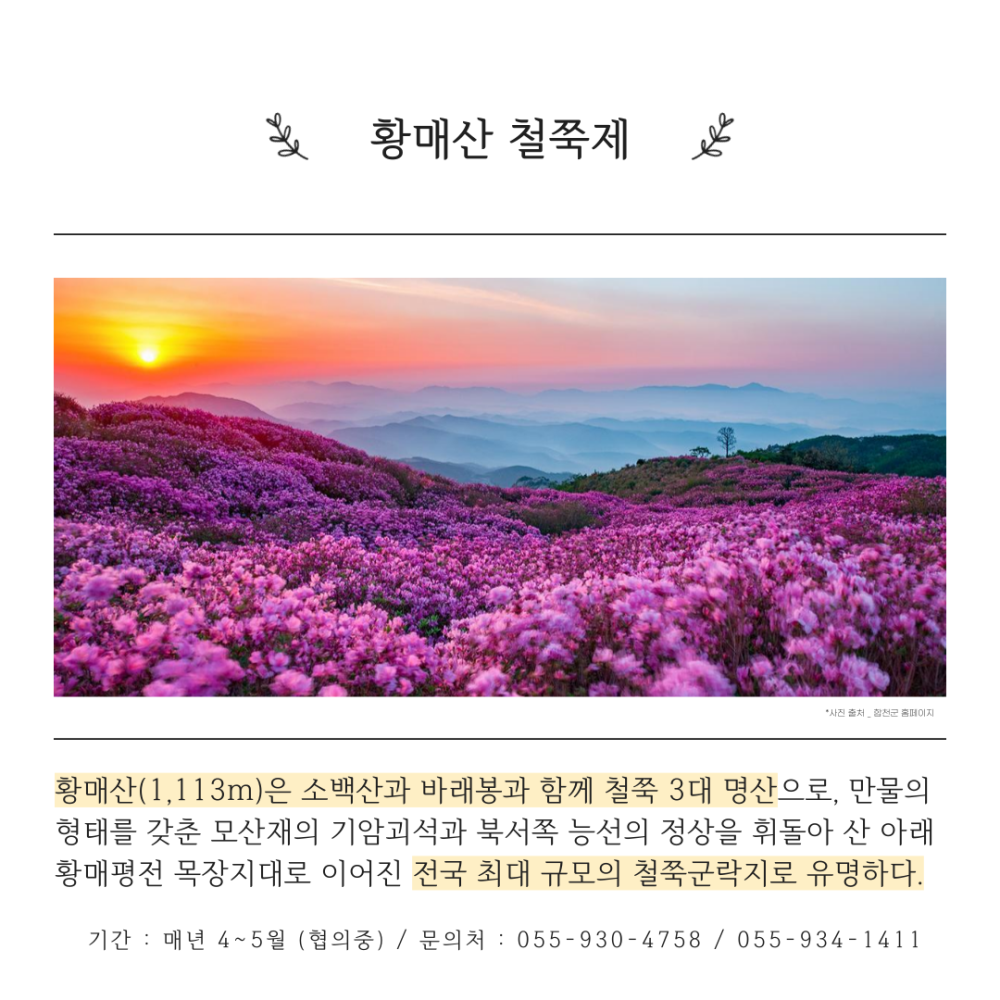 합천 축제 최종 (4).png