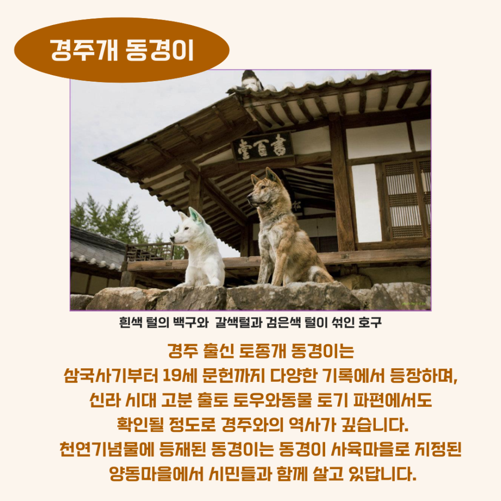 양동마을 소개 (5).png