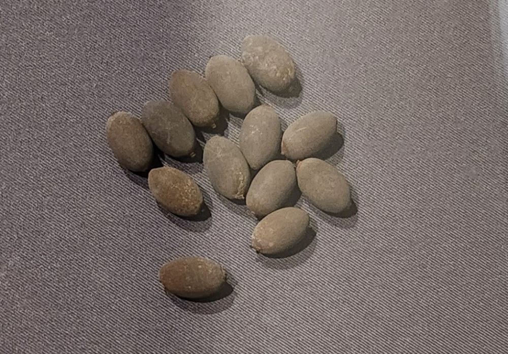 20241108_133510 (2).jpg